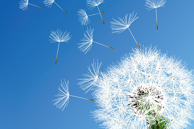 0f3ce6f8-d697-4bc3-86c5-ebe4ab1c85c6.png